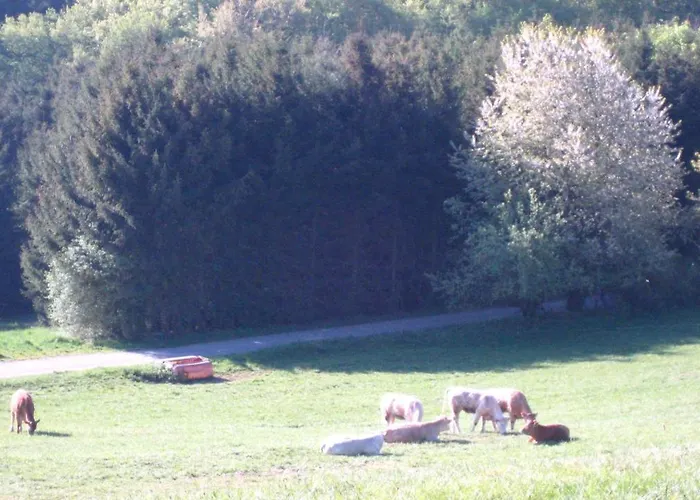Ferienwohnung Erika